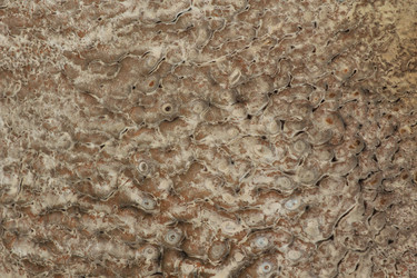 Similar image 715449