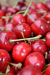 Similar image 715452