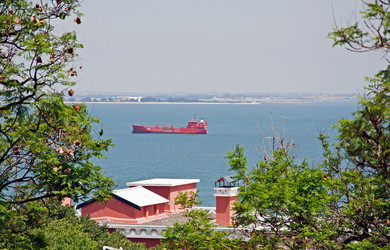 Similar image 715457