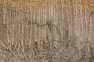 Similar image 715461