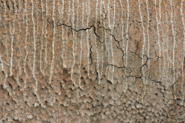 Similar image 715462