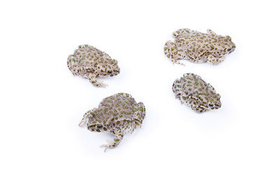 Similar image 715499