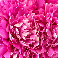 Similar image 715517