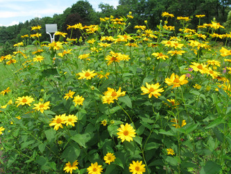 Similar image 715528