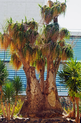 Similar image 715542