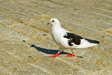 Similar image 715543