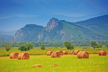 Similar image 715613