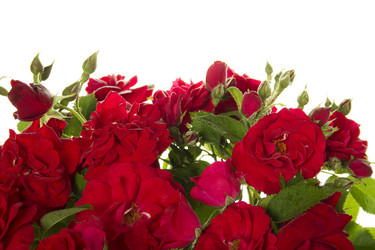 Similar image 715632