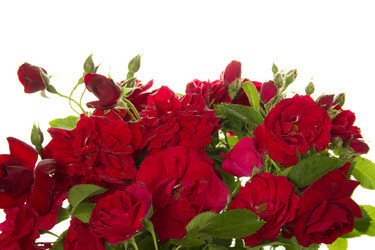 Similar image 715633