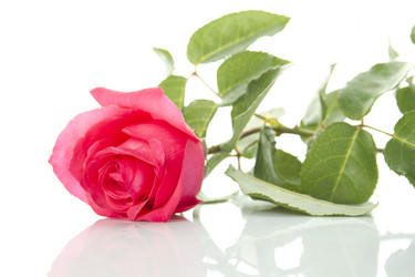 Similar image 715637