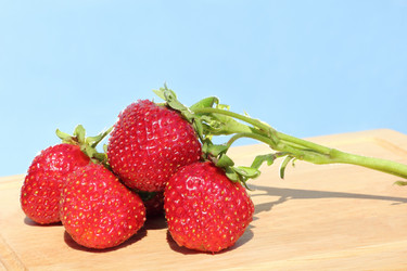 Similar image 715644