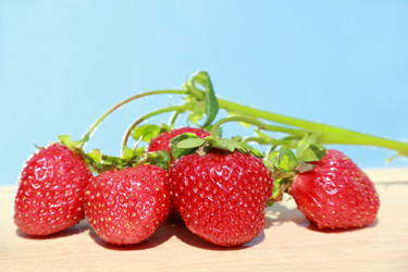 Similar image 715646