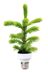 Similar image 715670