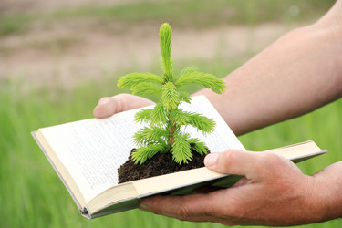 Similar image 715671