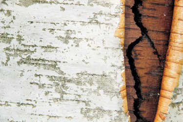 Similar image 715676