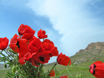 Similar image 715677