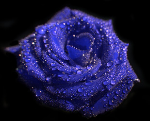 Similar image 715682