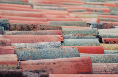 Similar image 715699