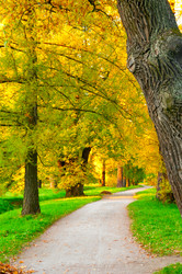 Similar image 715711