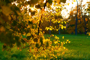 Similar image 715714