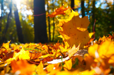 Similar image 715723