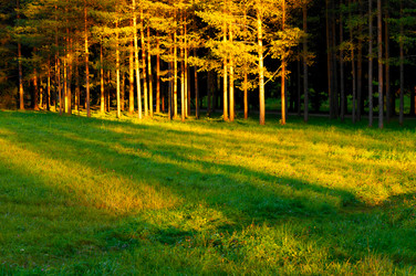 Similar image 715724