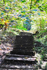 Similar image 715744