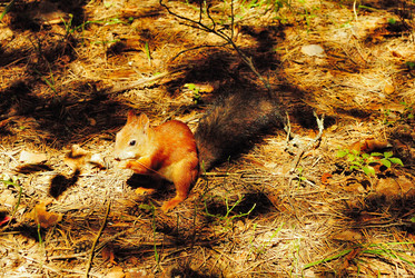 Similar image 715745