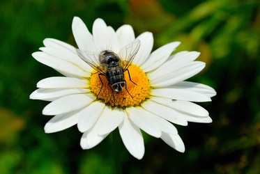 Similar image 715747