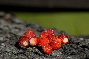 Similar image 715749