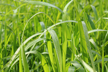 Similar image 715780