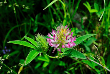 Similar image 715793