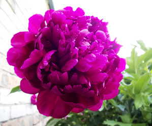 Similar image 715794