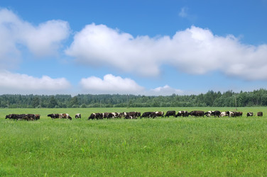 Similar image 715809