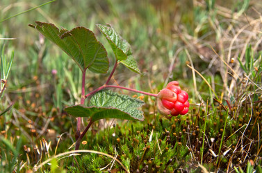 Similar image 715819