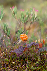 Similar image 715821