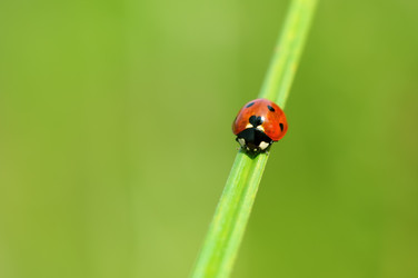 Similar image 715860