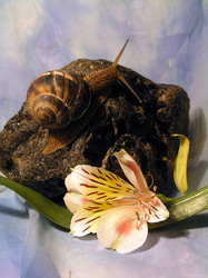 Similar image 715912