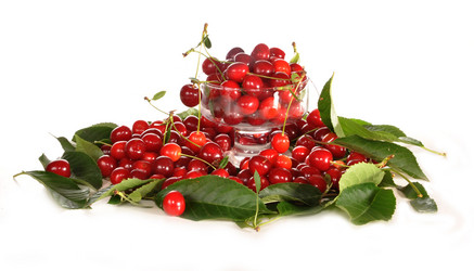 Similar image 716051