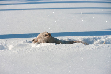 Similar image 716060