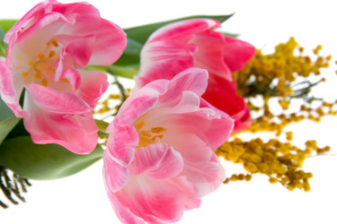 Similar image 716176