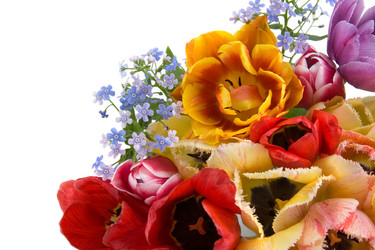 Similar image 716186