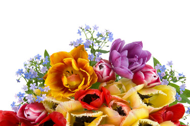 Similar image 716188