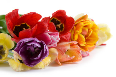 Similar image 716196