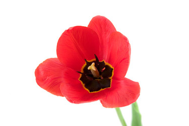 Similar image 716198