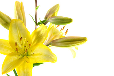 Similar image 716200