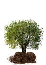 Similar image 716219