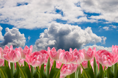 Similar image 716252