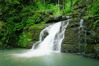 Similar image 716264