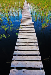 Similar image 716269